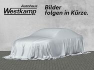 VW Golf, 2.0 TSI VIII Performance-Paket Harman-Kardon, Jahr 2021 - Frechen