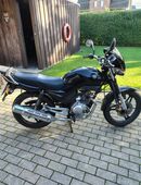 Yamaha YBR 125 in 21706