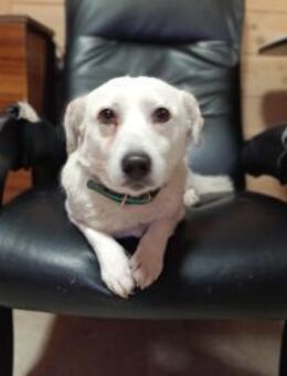 LUKI will bei dir Platz nehmen - Augsburg