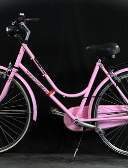 Elegantes Damenvelo TOTEM, 46cm B25/240 - Aarau