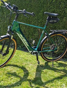 KTM Macina 625 Wh 60 cm - Rees