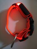 Leuchtendes Hundehalsband in 51469