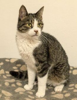 🌸Tapfere Consuela🌸 - Eislingen (Fils)