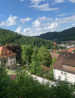 Exquisite 4-Zimmer-Wohnung mit Panoramablick - 90 m², die Ihr Herz erobern werden. - Oberndorf (Neckar)