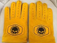 Harley Davidson Fingerhandschuhe Western Echt Leder Willie G Skull - Hamm