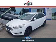 Ford Focus, Titanium Business-Paket TDCi, Jahr 2015 - Dülmen