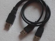 0,3m USB 3.0 Y-Stromkabel - Landau (Pfalz)