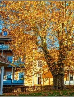 Altbauflair und Lebensqualität! Schicke 4-Zimmer-ETW mit Balkon, Garage und Stellplatz - Achern