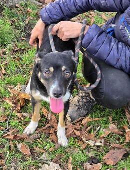 SELINA ist ein kleiner Sonnenschein ♥️ - München