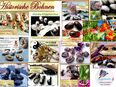 ♥ Bohnen Raritäten Samen,Indianer,Engel,Dalmatiner,Yin&Yang Elster Glücksbohne Garten Tulpenstolz Alte Sorten in 22457