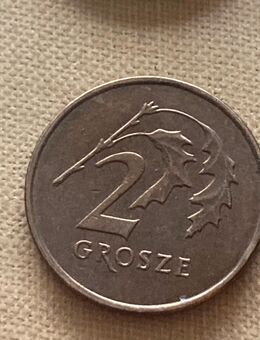 Münze Münzen Umlaufmünze Polen 2 Grosze 2009 - Alzey