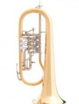 B & S Konzert Flügelhorn aus Goldmessing. Mod. 3017/2TR-L. Neuware - Hagenburg
