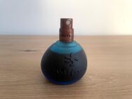 Coty Masumi.. Wild Lagoon..50 ml - Hamburg Harburg