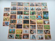 Panini Naruto The Spirit of the Ninja Sammler Set Konvolut 2002 - Fulda