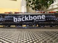 ROCO 70315 Backbone Digitalisiert Spur H0 - Mainz