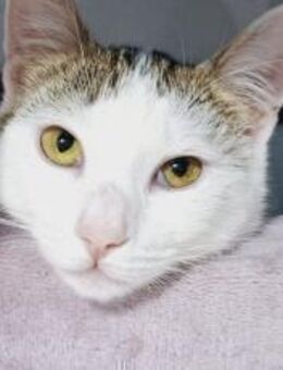 Lebensfrohe Rena sucht ihr Glück - München