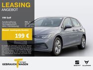 VW Golf, 2.0 TDI LIFE VZE, Jahr 2024 - Hemer