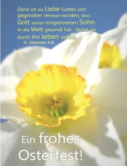 Poster Ostern A1 - Narzissenblüte II - Christliches Oster-Plakat - Edition Katzenstein - Wilhelmshaven Zentrum