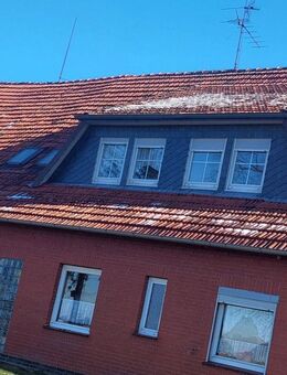 Pferdehaltung am Haus -- Wohnhaus mit 2 Wohnungen und Nebengebäuden einer ehemaligen kleinen Landwirtschaft - Steyerberg