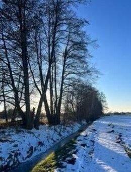 Energiesparendes Wohnen in Vehlefanz : Nachhhaltigkeit und Komfort vereint mit KFW40 Förderung - Oberkrämer