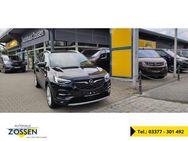 Opel Grandland Ultimate Navi Kamera Klimasitze LED - Zossen