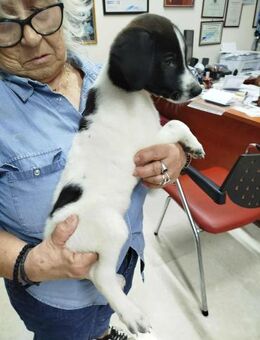 Duplo - einfach süß! - Alfeld (Leine)