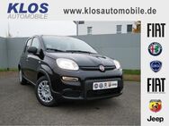 Fiat Panda, 1.0 HYBRID GSE 70PS CITY PAKET, Jahr 2024 - Völklingen