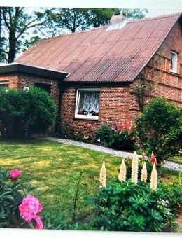 Leben auf dem Land! Schmuckes Wohnhaus mit ca. 1 Ha Weideland! - Steinau