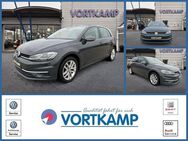 VW Golf Comfortline LED/AHK/NAVI/ACC/ - Gronau (Westfalen) Zentrum