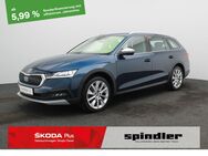 Skoda Octavia, 2.0 TDI Combi Scout, Jahr 2021 - Würzburg