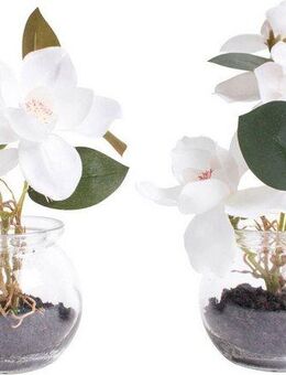 Kunstblume Magnolie im Glas, Botanic-Haus, Höhe 18 cm