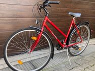 Damenfahrrad - Fischer Katanga - Pforzheim