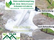 Ökologische Unkrautbekämpfung mit Heißwasser - Sassenberg