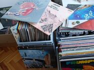 Schallplatten Rock Jazz Blues Pop Sammlung - Fürstenfeldbruck