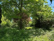 "Eine Oase in ruhiger Lage mit großem Sonnengarten" Moderne DHH in S-Möhringen - Stuttgart