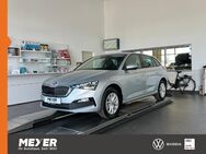 Skoda Scala, 1.0 TSI Ambition, Jahr 2024 - Tostedt