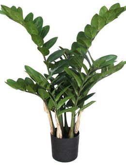 Kunstpflanze Zamifolia, Creativ green, Höhe 70 cm