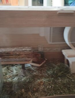 Käfig für Hamster - Göttingen