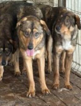 Zeig Cuan, wie schön die Welt sein kann - München