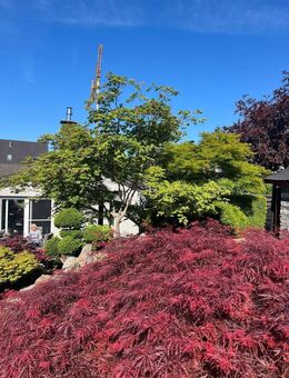 Neuwertiger Bungalow mit großem Garten in Osnabrück-Lüstringen - Osnabrück