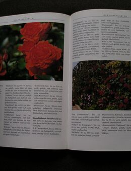Neues Buch - Der Ziergarten - Auch ein schönes Geschenk! - Leipzig Ost