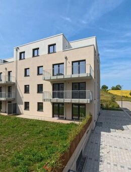 2-Zimmer Neubauwohnung im EG - Müllheim