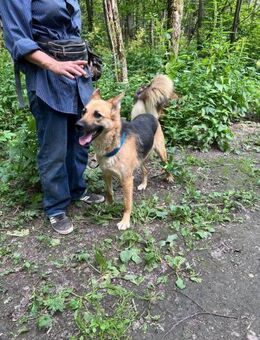 treue Selle namens Oza - Augsburg