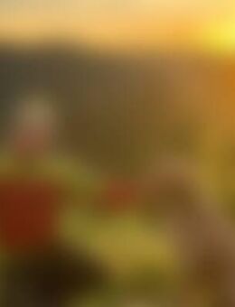 Wil*** - Oberwolfach