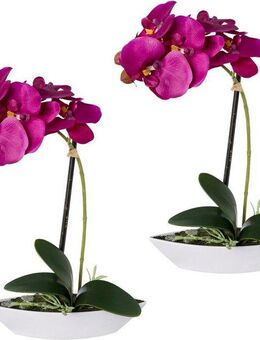 Kunstorchidee Phalaenopsis, Creativ green, Höhe 30 cm, 2er Set, in Kunststoffschale