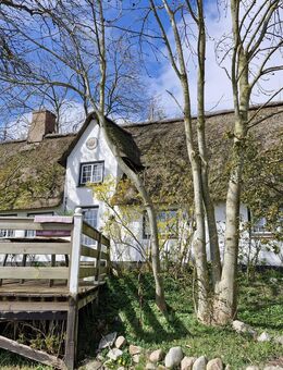 Schönes Haus unter Reet in der Nähe der dänischen Grenze - Neukirchen (Landkreis Nordfriesland)