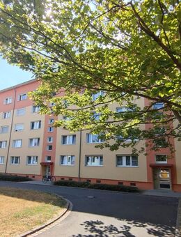 FRISCH RENOVIERT und ab JANUAR 2026 einzugsbereit - Zwenkau