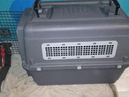 Hundetransportbox im guten Zustand zu verkaufen - Wernberg-Köblitz
