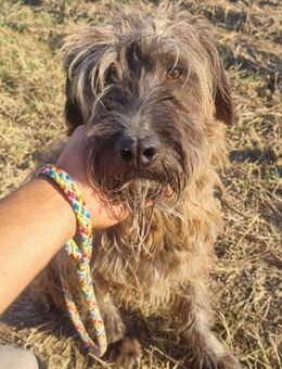 Giotto - so süüüüß - Overath