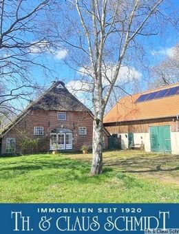 Herrliches Reetdach-Bauernhaus mit kl. Gästehaus und Scheune zw. OL und Jadebusen - Ovelgönne